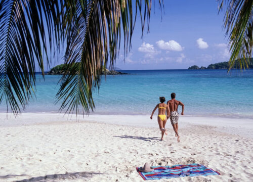 Take a day trip to any of our beautiful beaches